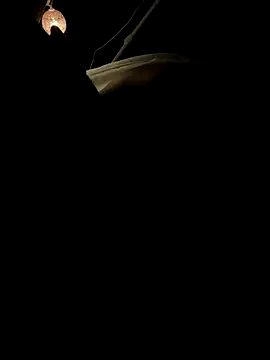 CoolBiDude online show from November 1, 1:56 am