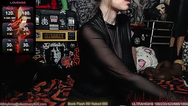 Snapshot of Silentmary chatting on February 27, 4:54 pm Silentmary online show from February 27, 4:54 pm