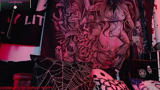 Silentmary online show from January 17, 2:53 pm