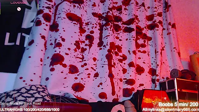 Silentmary online show from November 15, 2:04 am