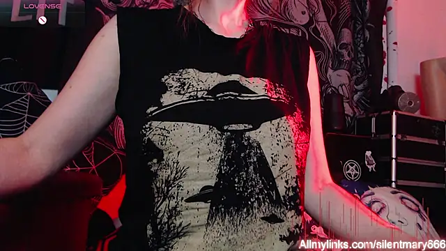 Silentmary online show from January 8, 7:03 am