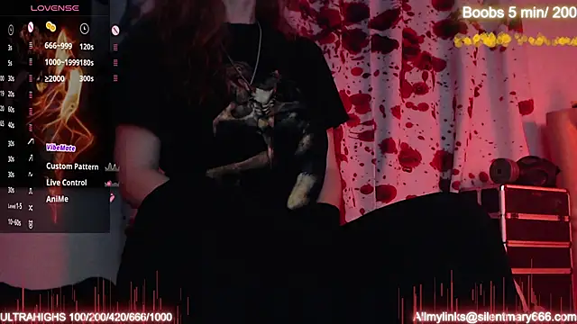 Silentmary online show from October 24, 11:26 pm