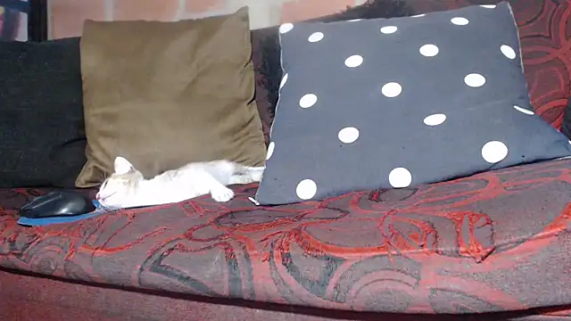 DevoraAmateur online show from February 22, 7:04 pm