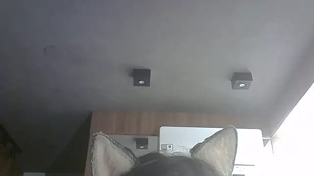 Skinny-Kitten online show from October 27, 6:58 am