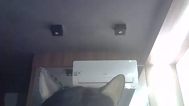 Skinny-Kitten online show from May 28, 4:57 pm