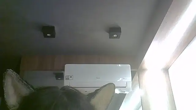 Snapshot of Skinny-Kitten chatting on June 17, 3:44 pm Skinny-Kitten online show from June 17, 3:44 pm
