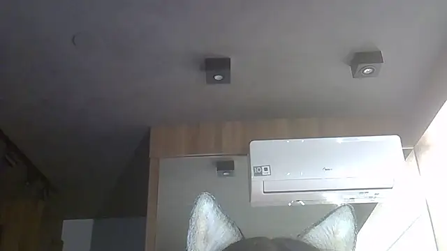 Skinny-Kitten online show from December 22, 1:06 am