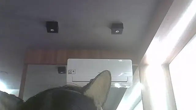 Snapshot of Skinny-Kitten chatting on June 25, 11:32 pm Skinny-Kitten online show from June 25, 11:32 pm