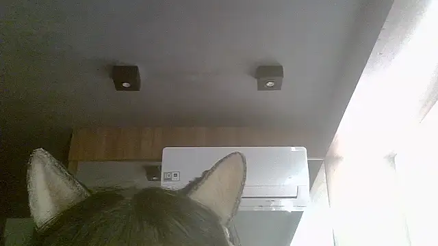 Snapshot of Skinny-Kitten chatting on July 19, 7:28 am Skinny-Kitten online show from July 19, 7:28 am