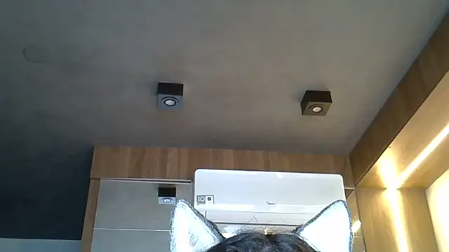 Skinny-Kitten online show from November 1, 9:36 am