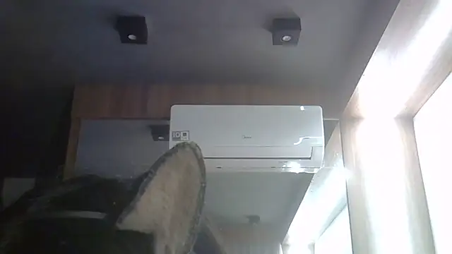 Snapshot of Skinny-Kitten chatting on June 27, 5:24 am Skinny-Kitten online show from June 27, 5:24 am