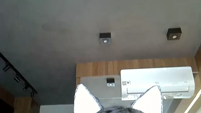 Skinny-Kitten online show from November 9, 5:06 pm