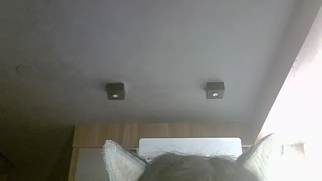 Skinny-Kitten online show from May 14, 9:17 am