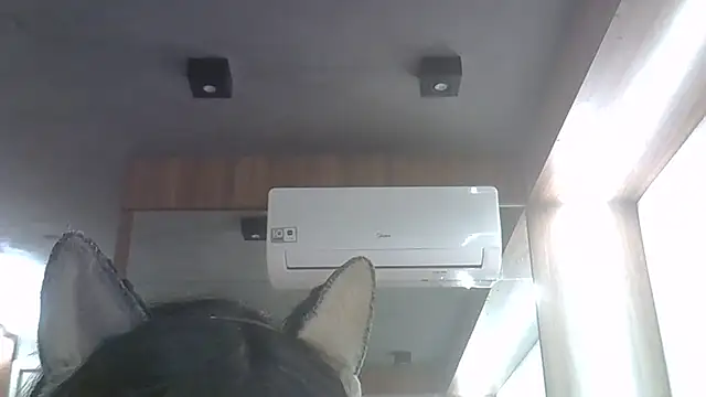 Snapshot of Skinny-Kitten chatting on June 4, 11:42 pm Skinny-Kitten online show from June 4, 11:42 pm