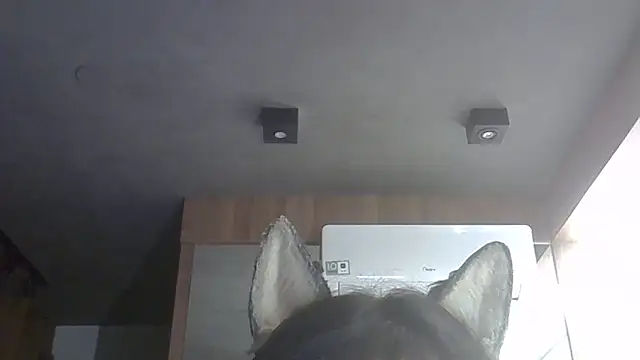 Skinny-Kitten online show from February 14, 1:39 am