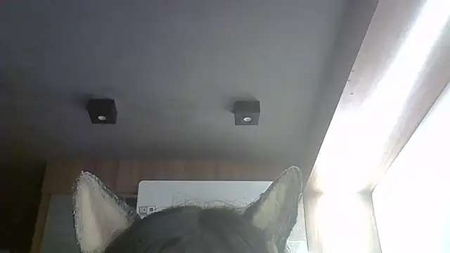 Skinny-Kitten online show from March 9, 3:43 am