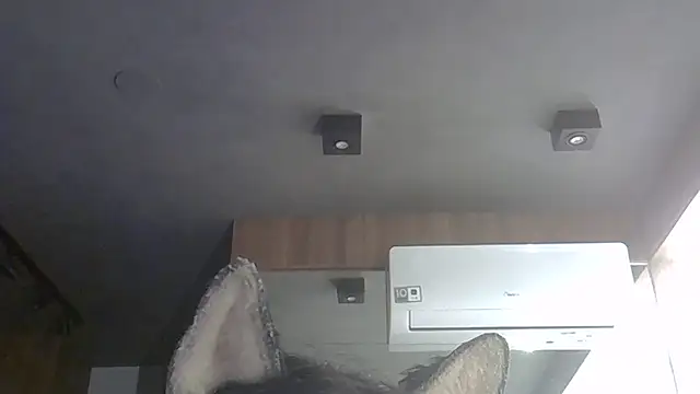 Skinny-Kitten online show from February 7, 8:39 pm