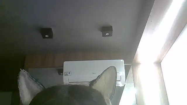 Skinny-Kitten online show from May 4, 4:43 pm