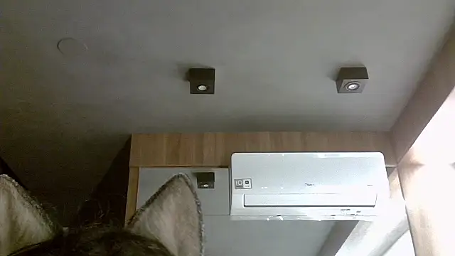 Skinny-Kitten online show from November 5, 3:09 am