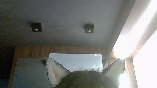 Snapshot of Skinny-Kitten chatting on July 16, 4:48 pm Skinny-Kitten online show from July 16, 4:48 pm