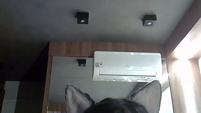 Skinny-Kitten online show from September 30, 9:32 pm