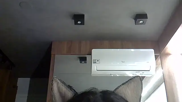 Skinny-Kitten online show from October 20, 1:40 am