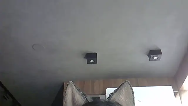 Skinny-Kitten online show from October 31, 9:32 pm