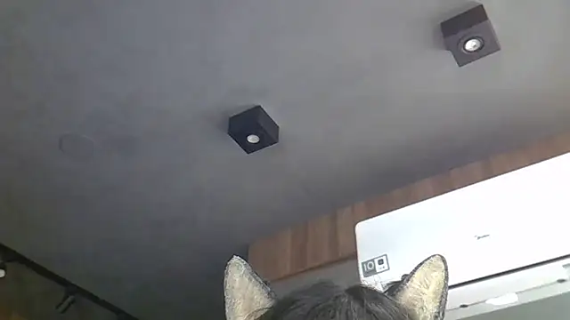 Skinny-Kitten online show from March 4, 5:26 am