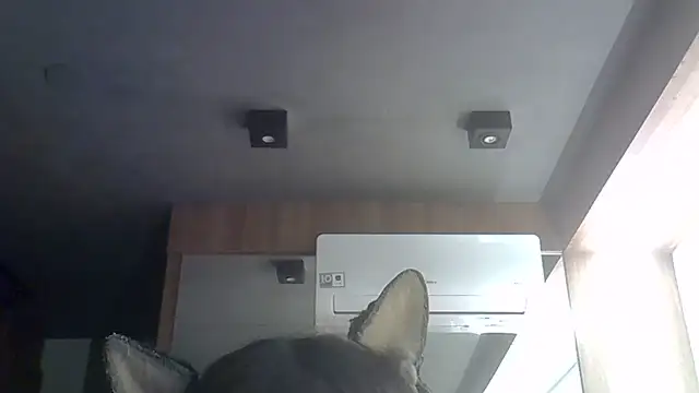 Snapshot of Skinny-Kitten chatting on June 30, 12:10 am Skinny-Kitten online show from June 30, 12:10 am