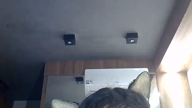Snapshot of Skinny-Kitten chatting on June 27, 1:39 pm Skinny-Kitten online show from June 27, 1:39 pm