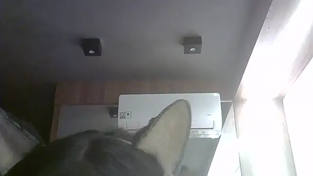 Skinny-Kitten online show from May 26, 8:51 pm