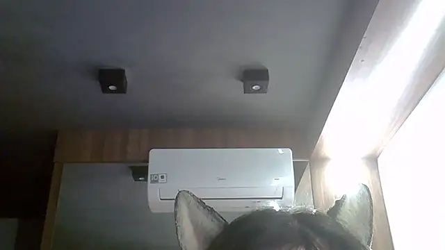 Skinny-Kitten online show from April 3, 9:38 am