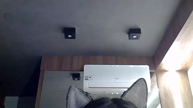 Skinny-Kitten online show from January 9, 11:00 pm