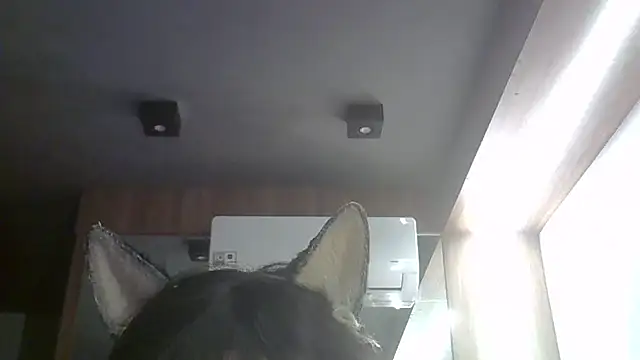 Skinny-Kitten online show from May 22, 2:59 pm
