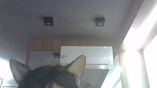 Snapshot of Skinny-Kitten chatting on June 7, 5:23 am Skinny-Kitten online show from June 7, 5:23 am