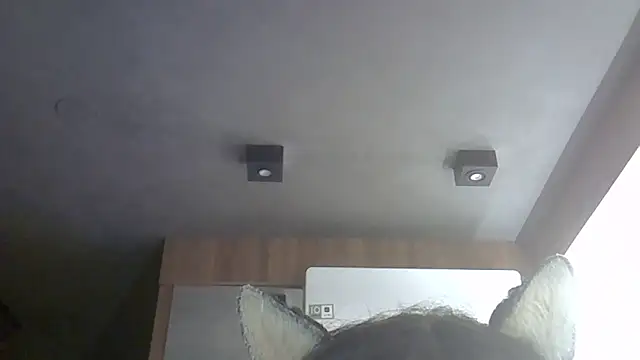 Snapshot of Skinny-Kitten chatting on June 12, 11:19 am Skinny-Kitten online show from June 12, 11:19 am