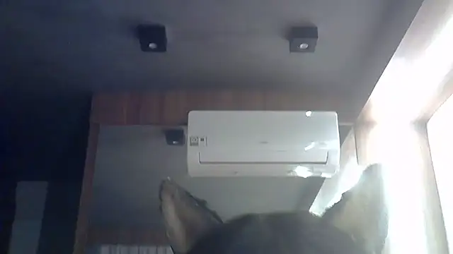 Snapshot of Skinny-Kitten chatting on June 28, 1:50 pm Skinny-Kitten online show from June 28, 1:50 pm