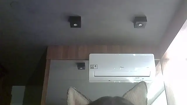 Skinny-Kitten online show from October 4, 12:23 am