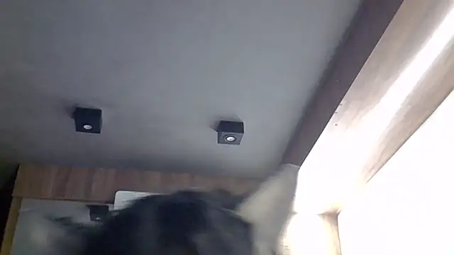 Skinny-Kitten online show from March 30, 4:52 pm