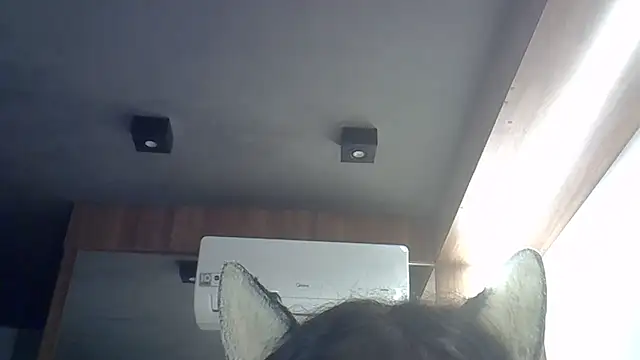 Skinny-Kitten online show from April 8, 12:34 am