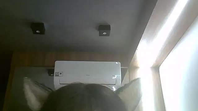 Snapshot of Skinny-Kitten chatting on June 16, 8:47 am Skinny-Kitten online show from June 16, 8:47 am