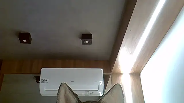 Skinny-Kitten online show from September 20, 2:49 am