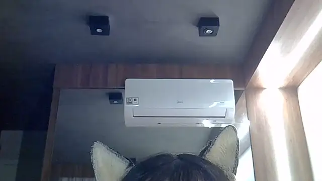 Snapshot of Skinny-Kitten chatting on June 26, 11:38 am Skinny-Kitten online show from June 26, 11:38 am
