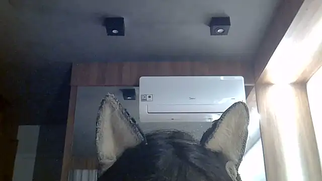 Snapshot of Skinny-Kitten chatting on June 30, 2:06 pm Skinny-Kitten online show from June 30, 2:06 pm