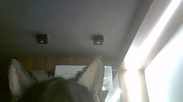 Skinny-Kitten online show from February 15, 2:12 am