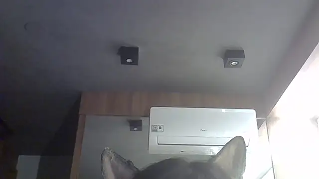 Skinny-Kitten online show from February 10, 11:59 pm