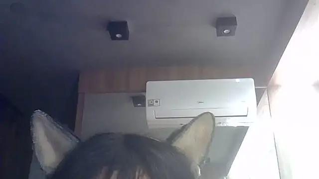 Snapshot of Skinny-Kitten chatting on July 1, 2:34 am Skinny-Kitten online show from July 1, 2:34 am