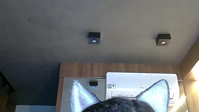 Skinny-Kitten online show from October 28, 5:34 pm