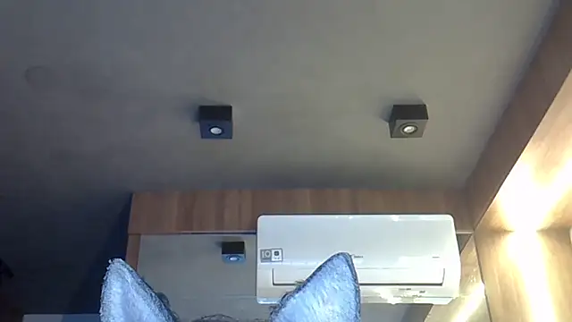 Skinny-Kitten online show from November 10, 8:41 am