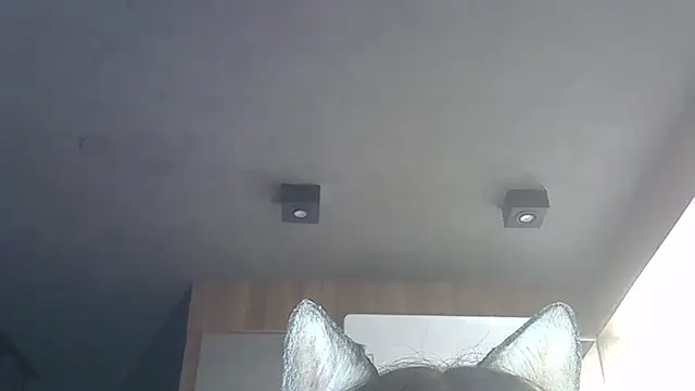 Skinny-Kitten online show from December 15, 1:44 am